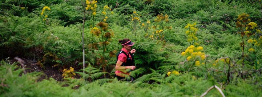 ESCUDO DE FONTANALES 18