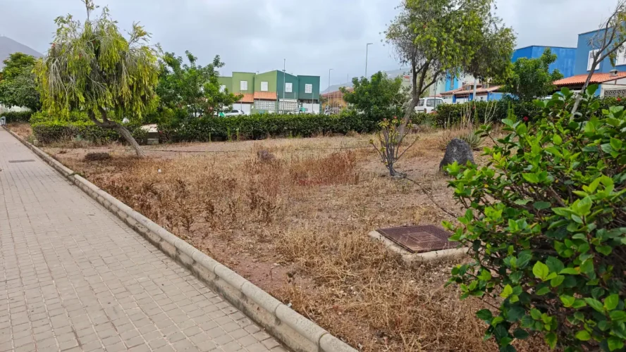El Psoe De Gáldar Denuncia El Deterioro De Parques, Jardines Y Espacios Públicos En Los Barrios Del Munic ( (5)