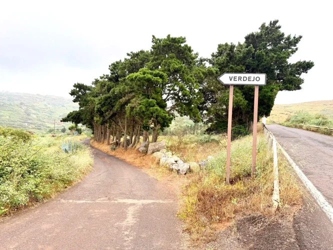 Entrada A Verdejo En Las Medianías Del Municipio De Guía