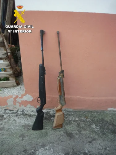 Escopetas Perros