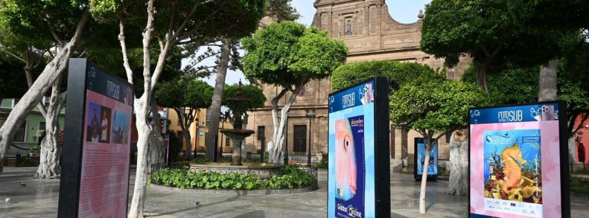 Exposición del FotoSub en la Plaza de Santiago