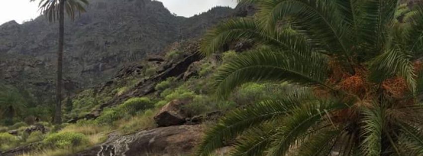 FB_IMG_1458905641374