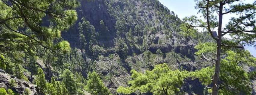 FB_IMG_1464000878720