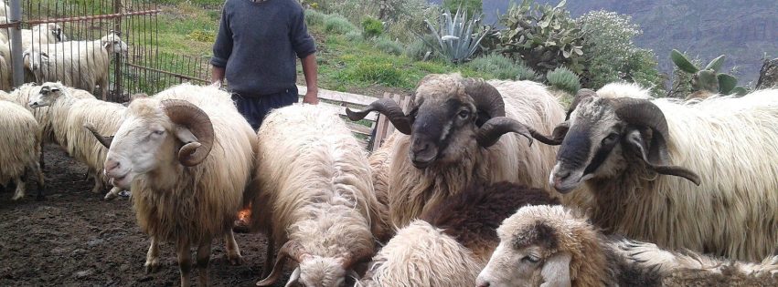 FOTO JUAN FÉLIX MEDINA FOTO JUAN FÉLIX MEDINA