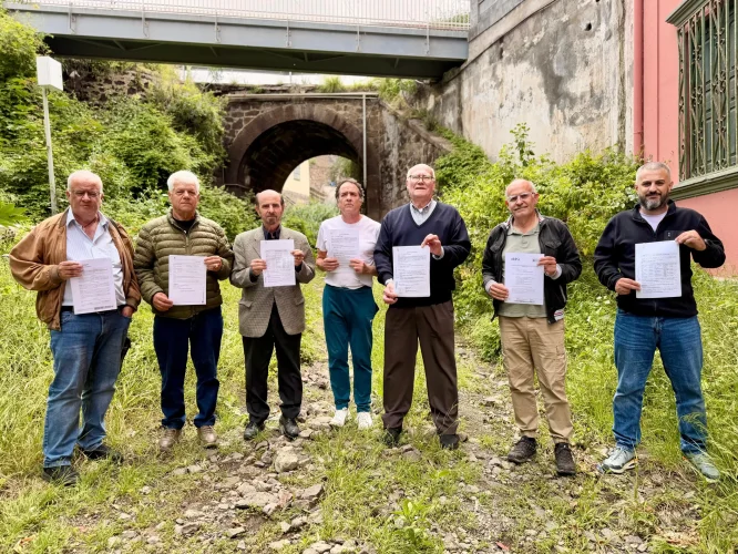 Fotografia Fundadores Cultura En Movimiento