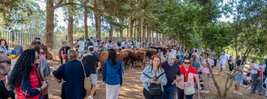Feria de Ganado en Valleseco