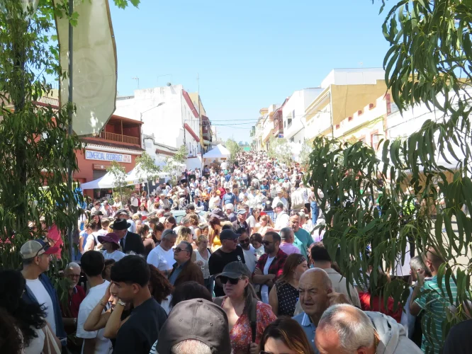 Fiesta Del Queso Montaña Alta 2026
