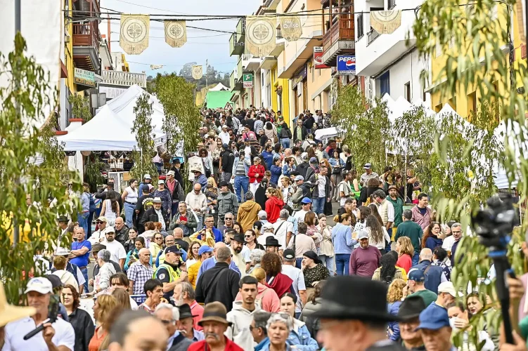 Fiesta Del Queso De Montaña Alta 2025