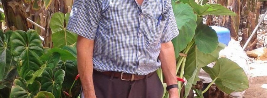 Francisco Domínguez Oliva Pintadera de Oro de la Ciudad