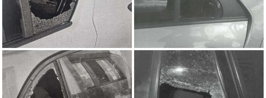 IMG_20251017_125151 IMG_20251017_125151