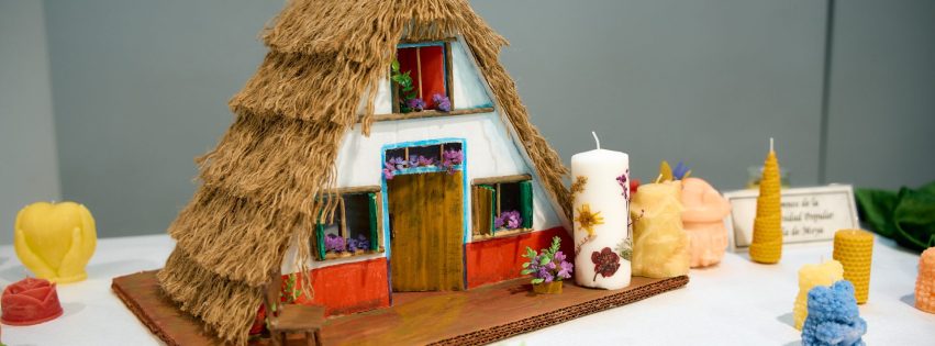 INAUGURACION EXPOSICION UNIVERSIDAD POPULAR