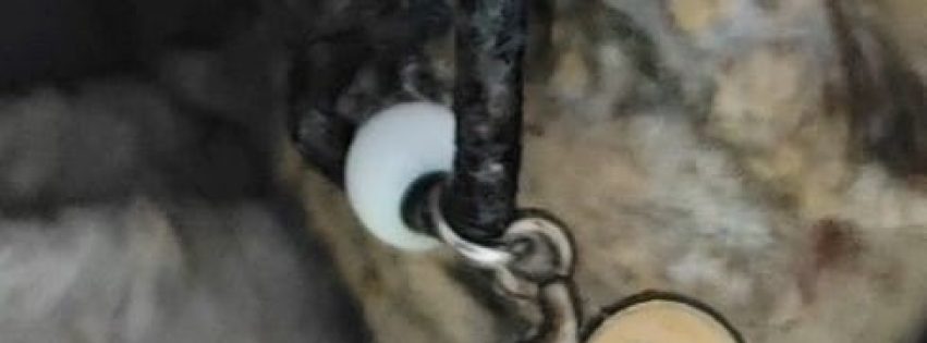 Imagen de WhatsApp 2025-01-15 a las 11.28.26_28546873