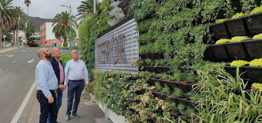 Jardin Vertical Teror