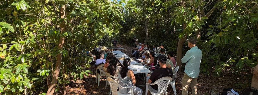 Jornadas del Cafe Jornadas del Cafe