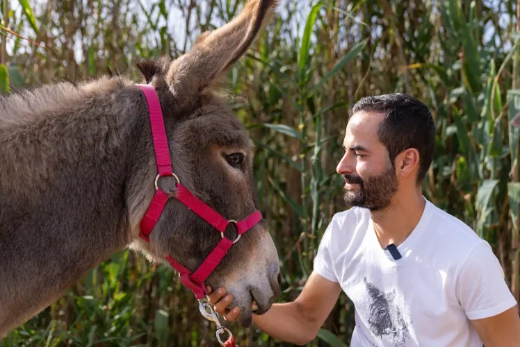 La Noche Del Burro