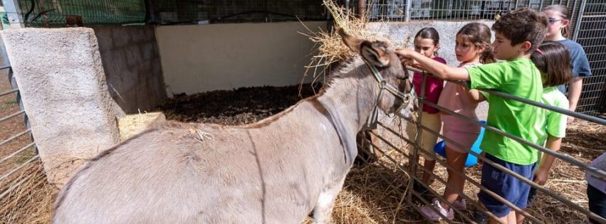 La población joven de Valleseco aprende del sector primario y sus valores