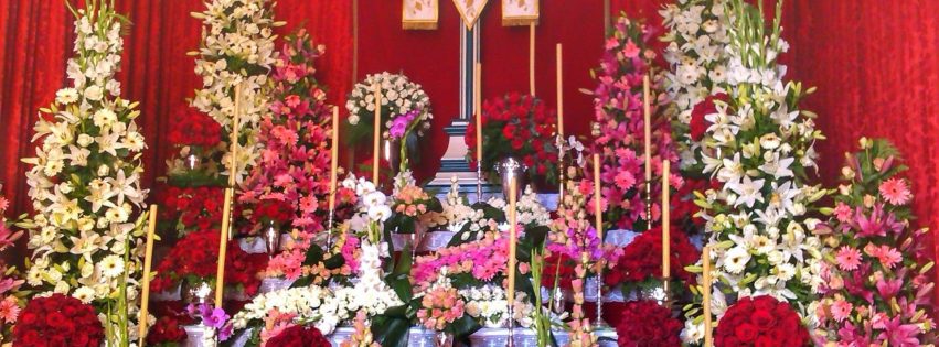 Las originales capillas de cruz y altares donde los vecinos de Los Realejos despliegan todo su arte en las Fiestas de la Cruz. Las originales capillas de cruz y altares donde los vecinos de Los Realejos despliegan todo su arte en las Fiestas de la Cruz.