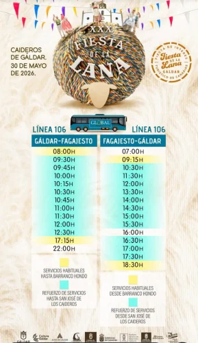 Linea 106 Caideros Galdar