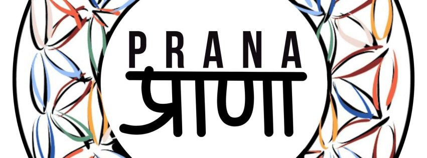 Logo_prana_actualizado_08_05_2024 1 1 1