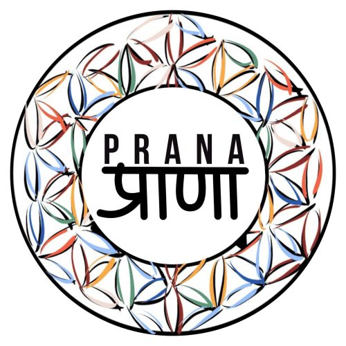 Logo_prana_actualizado_08_05_2024 1 1 1