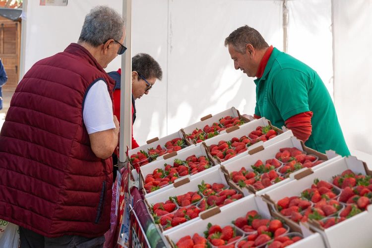 Mercado AgrÍcola (1)