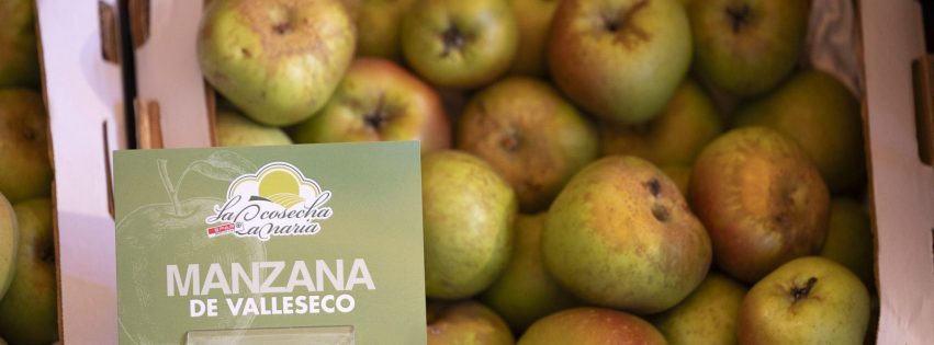 Manzana reineta de Valleseco Manzana reineta de Valleseco
