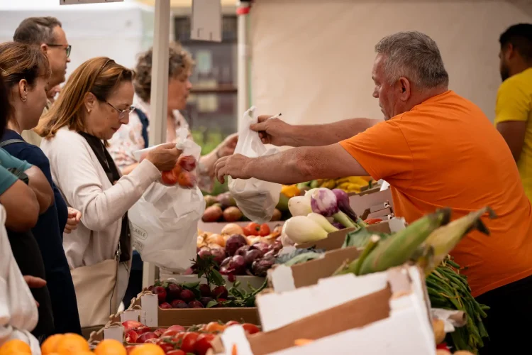 Mercado Agrícola De Este Domingo 14 De Junio