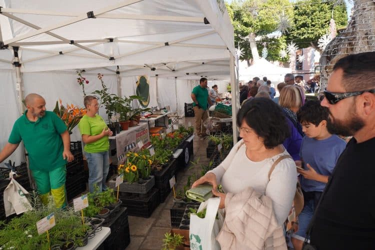 Mercado Agrícola 28-12-25 (2)