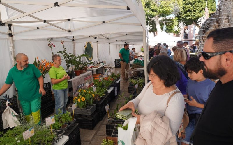 Mercado agrícola 28-12-25 (2)