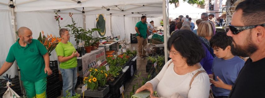 Mercado agrícola 28-12-25 (2)