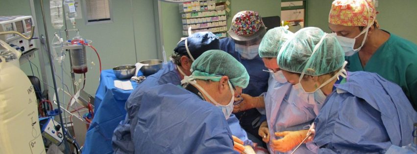 Momento de una intervención de trasplante hepático