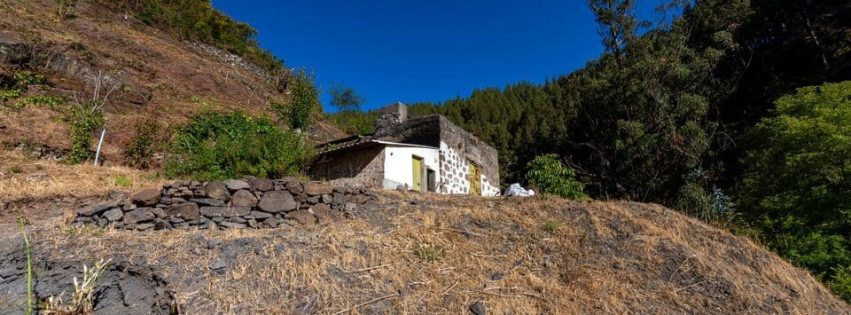 Nido Cuervo - Valleseco