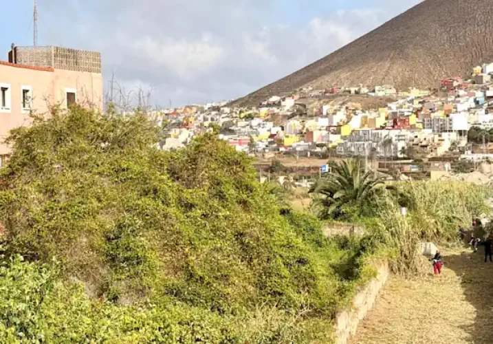 Operarios Retirando Las Cañas Y El Rabo De Gato Del Barranco De Las Garzas (1)