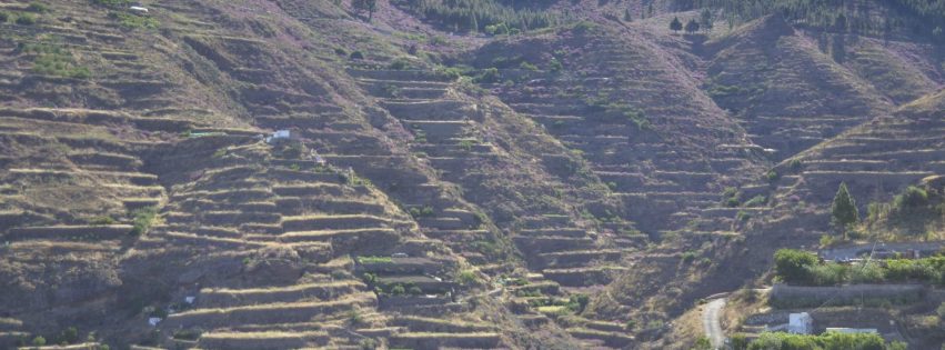 Paisaje de los Altos de Gáldar Paisaje de los Altos de Gáldar