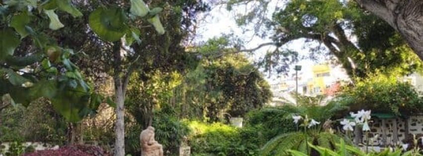 Parques y Jardines Arucas