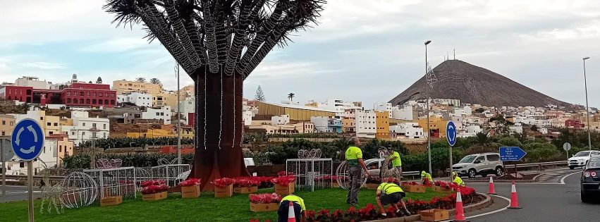 Personal del convenio de Zonas Rurales Deprimidas trabaja en la rotonda del Drago (1)