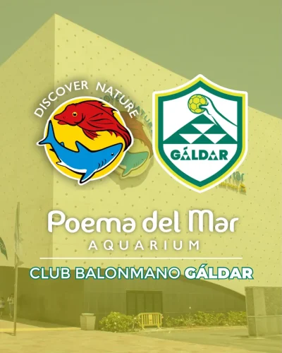 Poema Del Mar Balonmano Gáldar
