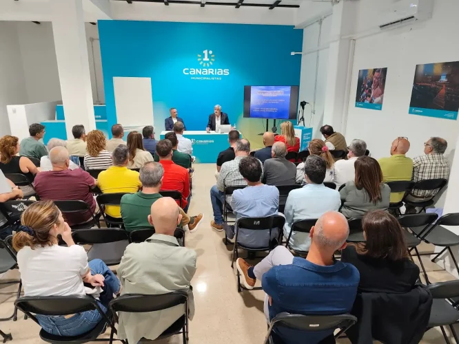 Ponencia Francisco Socorro