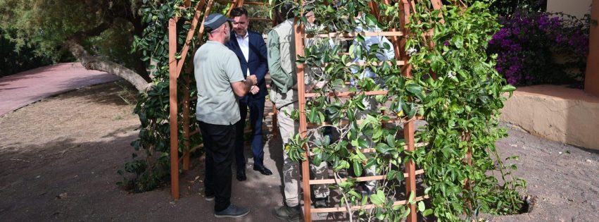 Presentación de la pérgola construida con madera de eucalipto rojo en el Área Recreativa Huertas del Rey Presentación de la pérgola construida con madera de eucalipto rojo en el Área Recreativa Huertas del Rey