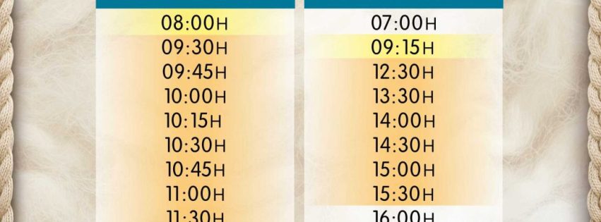 Refuerzo servicio de guagua