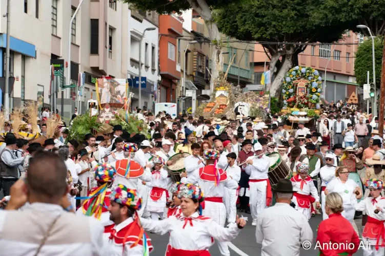 Romería De Gáldar 2026