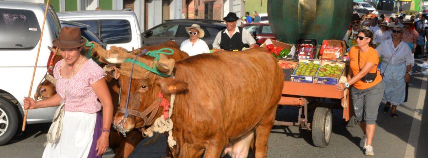 Romeria de Melenara Santo Cura de Ars y Ntra Sra del Carmen 52
