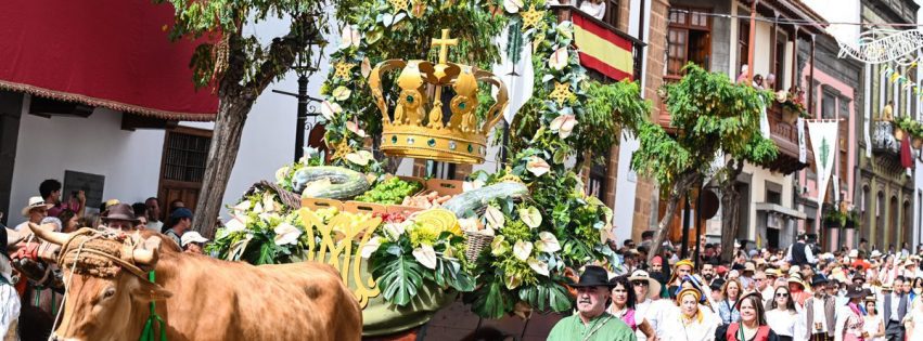 Romería del Pino 2025 por Antonio Ali 28