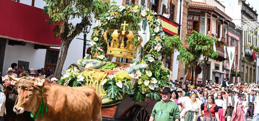 Romería del Pino 2025 por Antonio Ali 28