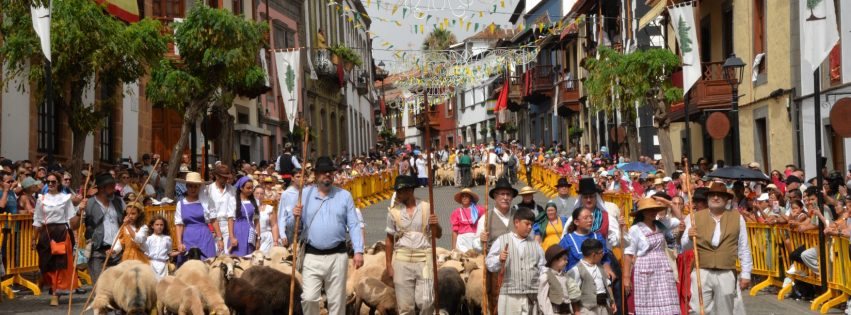 Romeria del Pino 2025 por Isabel Quintana 1127
