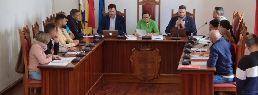 Sesión plenaria 300125