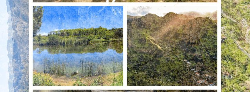 Feria Gran Canaria Me Gusta