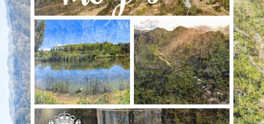 Feria Gran Canaria Me Gusta