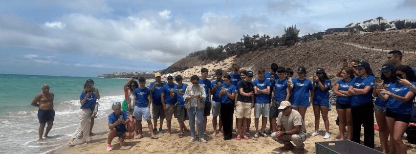 Suelta de tortugas Fred Olsen Express