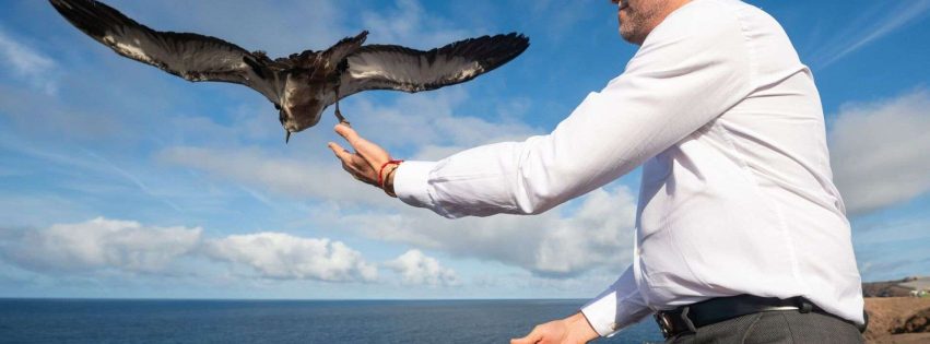 Suelta pardelas-alcalde de Gáldar 2